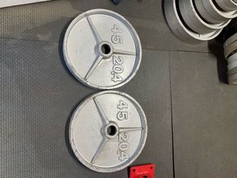 Olympic Weights Pair