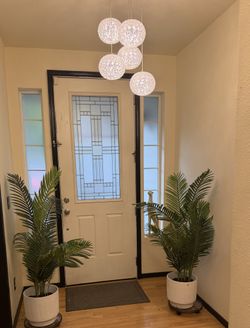 Two Silk Palm Plants in vase with wheel tray