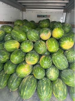 Organic jumbo sangria, red seeded watermelon