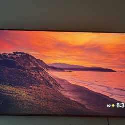 75 in Sony Bravia TV (Barely Used)