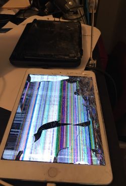 Found: "Johns IPad". On Williams Field Road today.