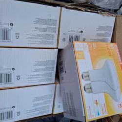 65w  Frosted Bulbs 