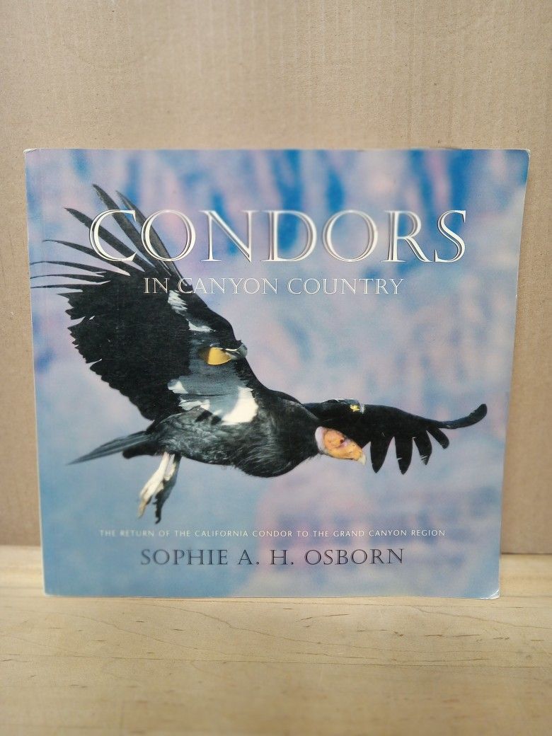 Book Condors In Canyon Country