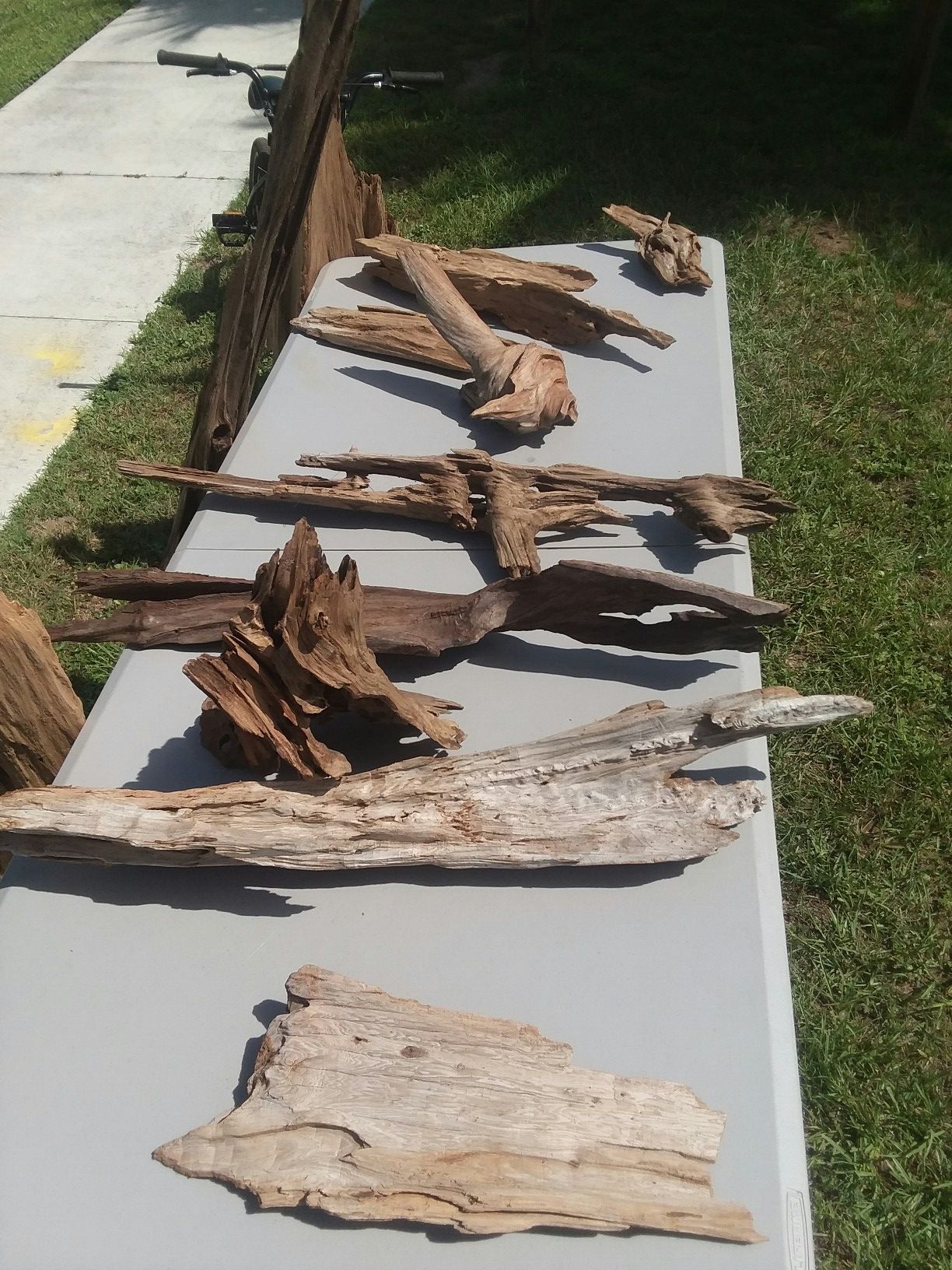 Driftwood for Sale in Ocala, FL OfferUp