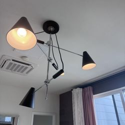 Light Fixture 
