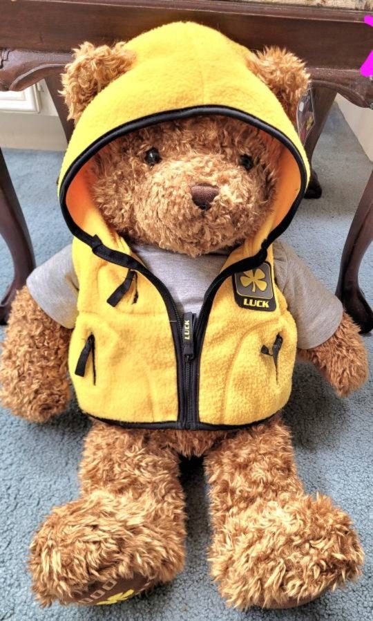 New HUGE 25” What's Your Wish Teddy Bear With Pockets