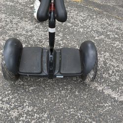 Ninebot Segway S