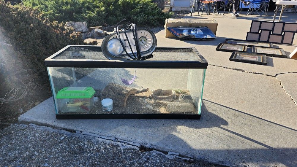 Reptile Habitat, with warming lights