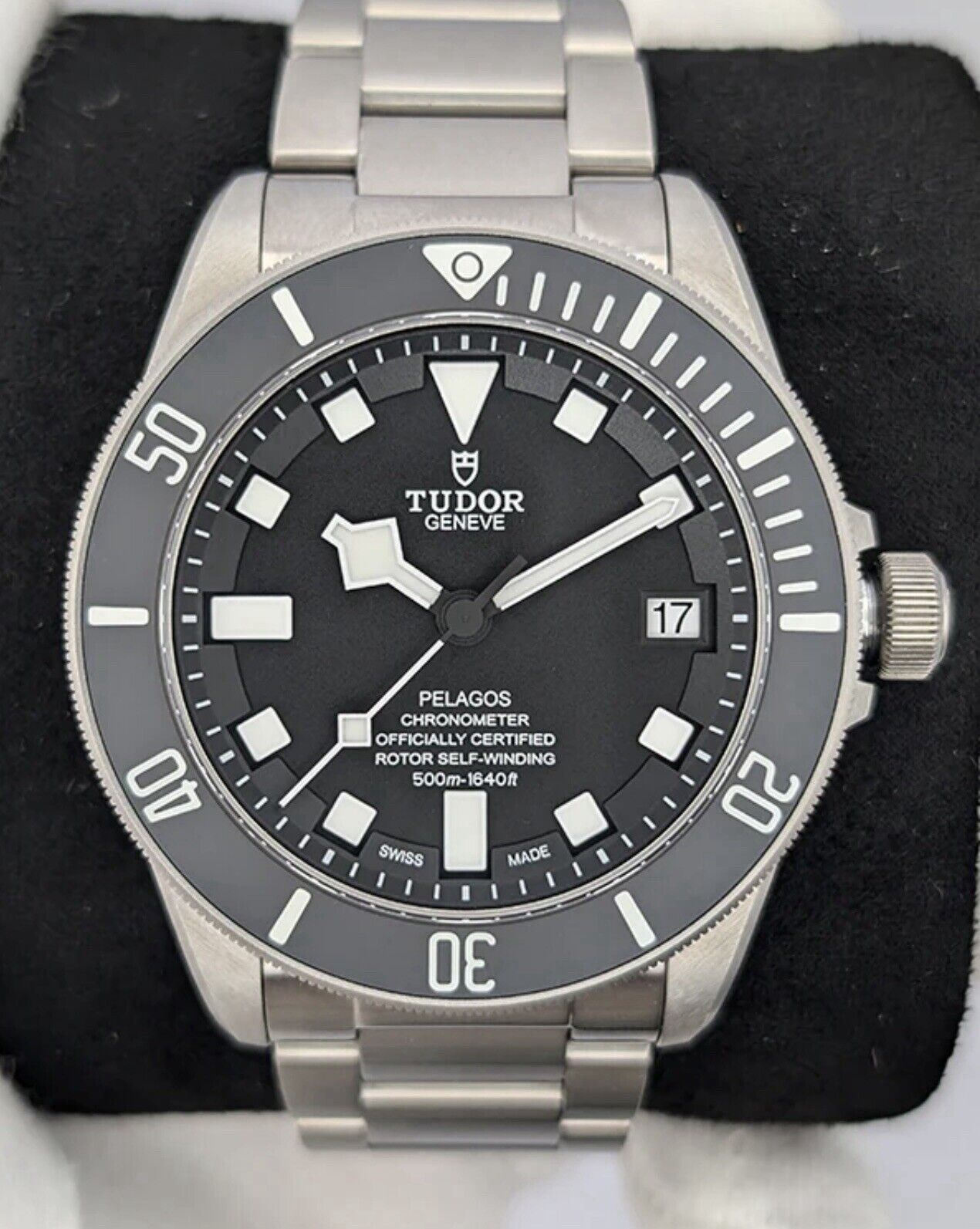 Tudor Pelagos 25600TN