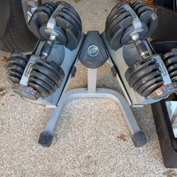 Nautilus/Bowflex Adjustable Weights With Stand