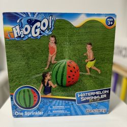 H2O GO