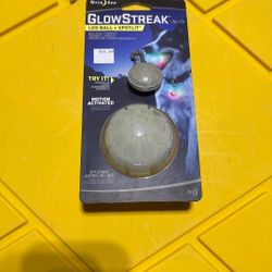 Glow Streak Led Ball And Light Up collar Attachment 