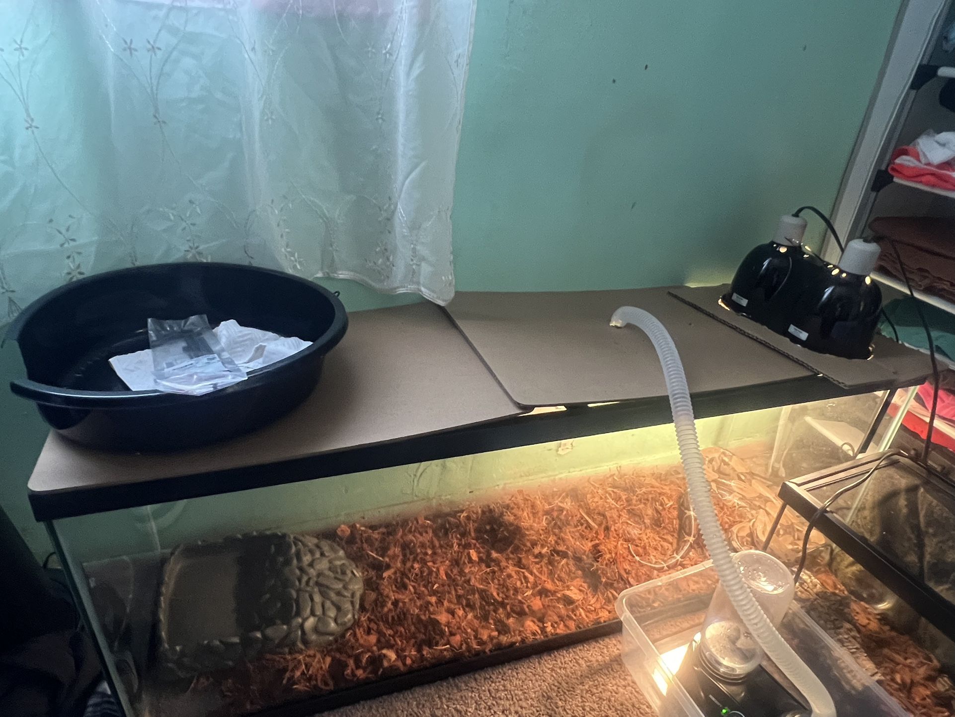 55 Gallon