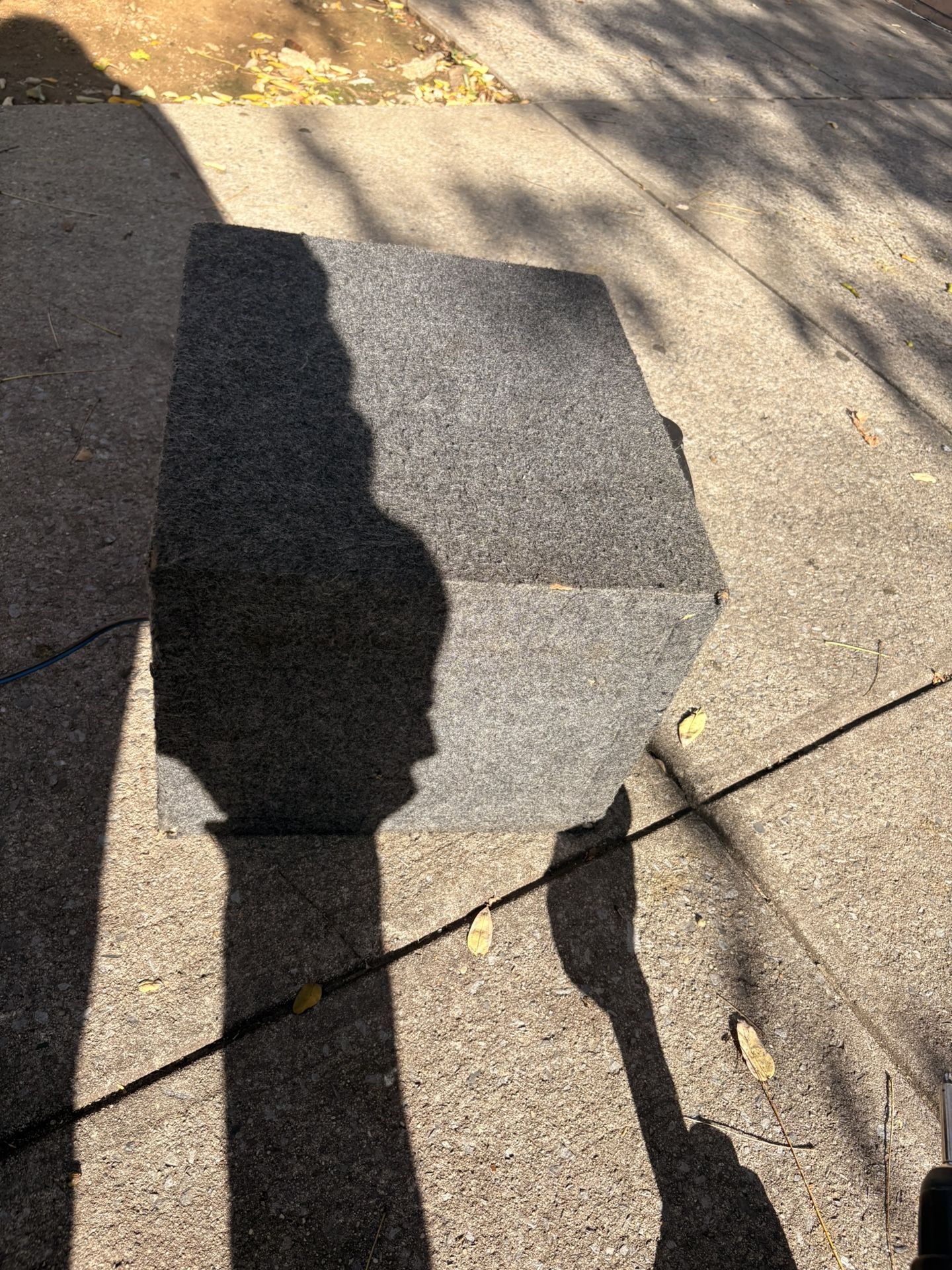10 Inch Subwoofer