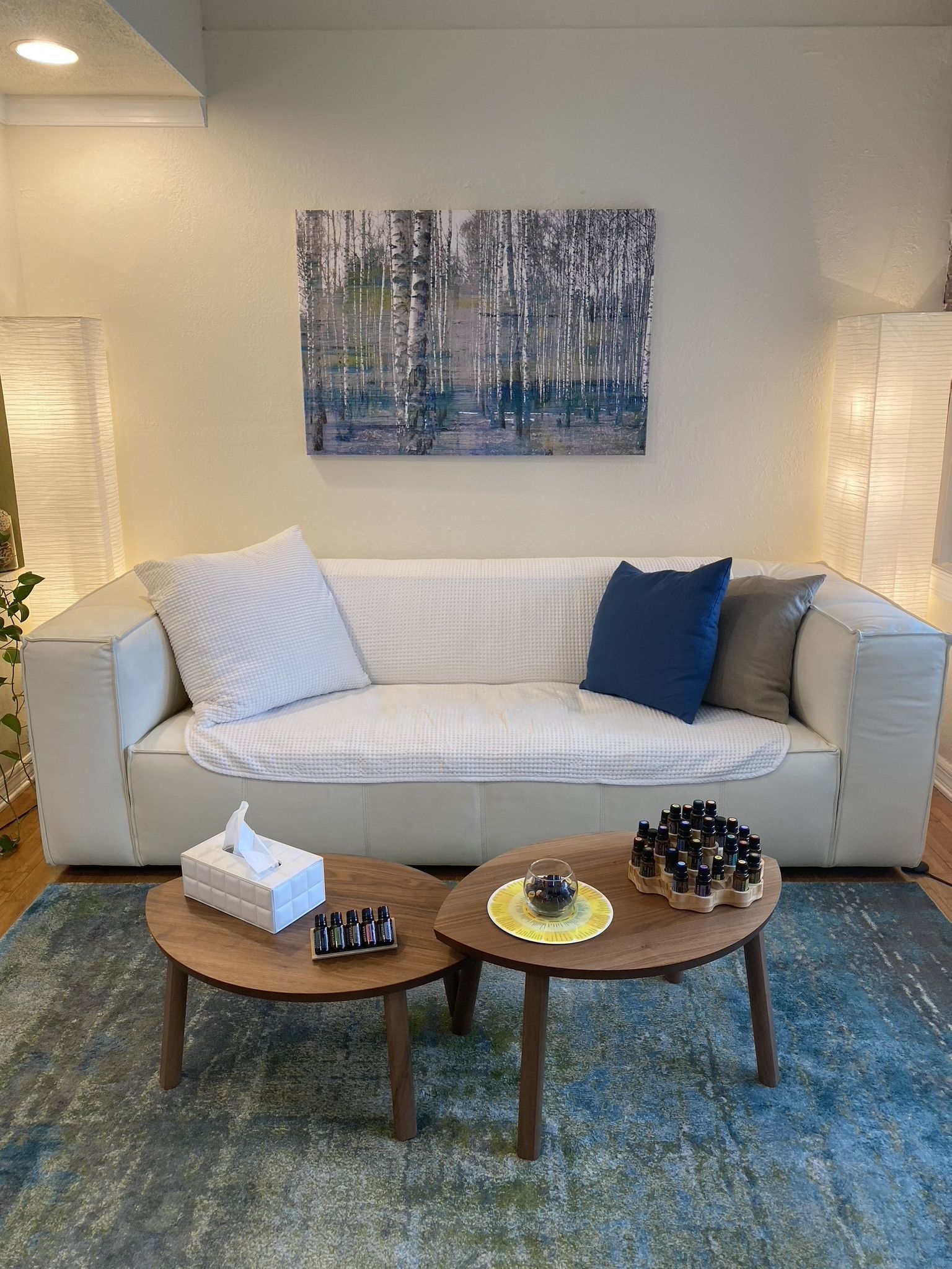Scandinavian Leather couch