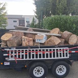 Trailer FULL Of Tree Rounds!!!