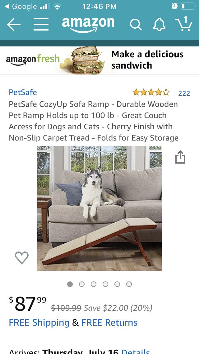 Pet Safe Dog Ramp