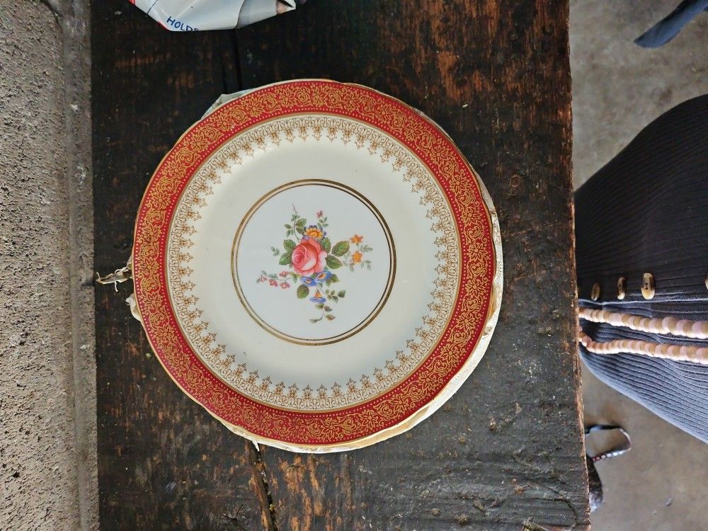 Bone CHINA plates