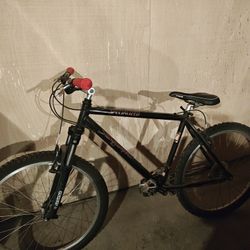 Mountain Bike 