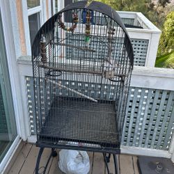 Bird Cage 
