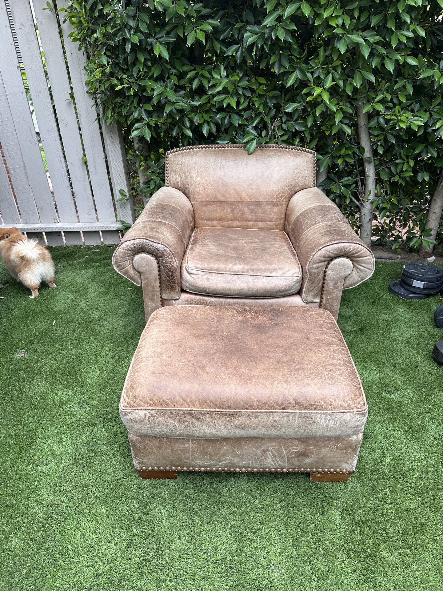 Armchair With Ottoman