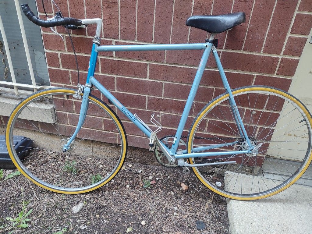 Large Frame Raleigh Technium Lightweight Singlespeed Roadbike W/ New Tires