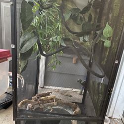 Chameleons Enclosure Or Any 