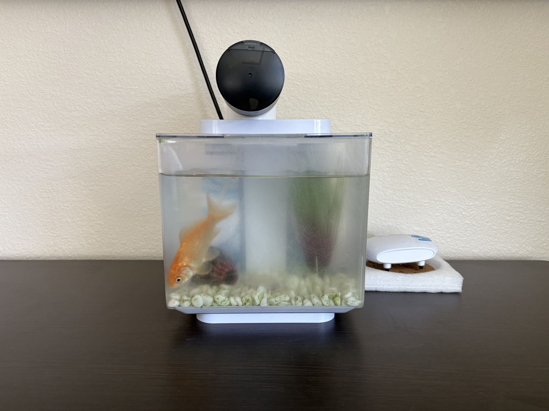 Fish Care Kit