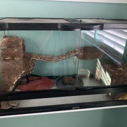 Reptile/Pet Cage
