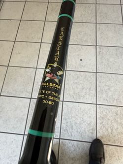 Calstar BWC 6465HC Fishing Rod 30-80