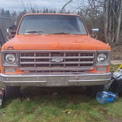 1979 super deluxe Chevy / camper cover