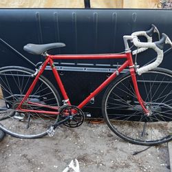 Reynolds 531 Racing/Road Bike