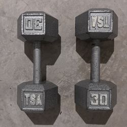 2 30LB dumbbell TSA