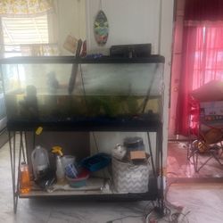 Fish Stand And Tank 