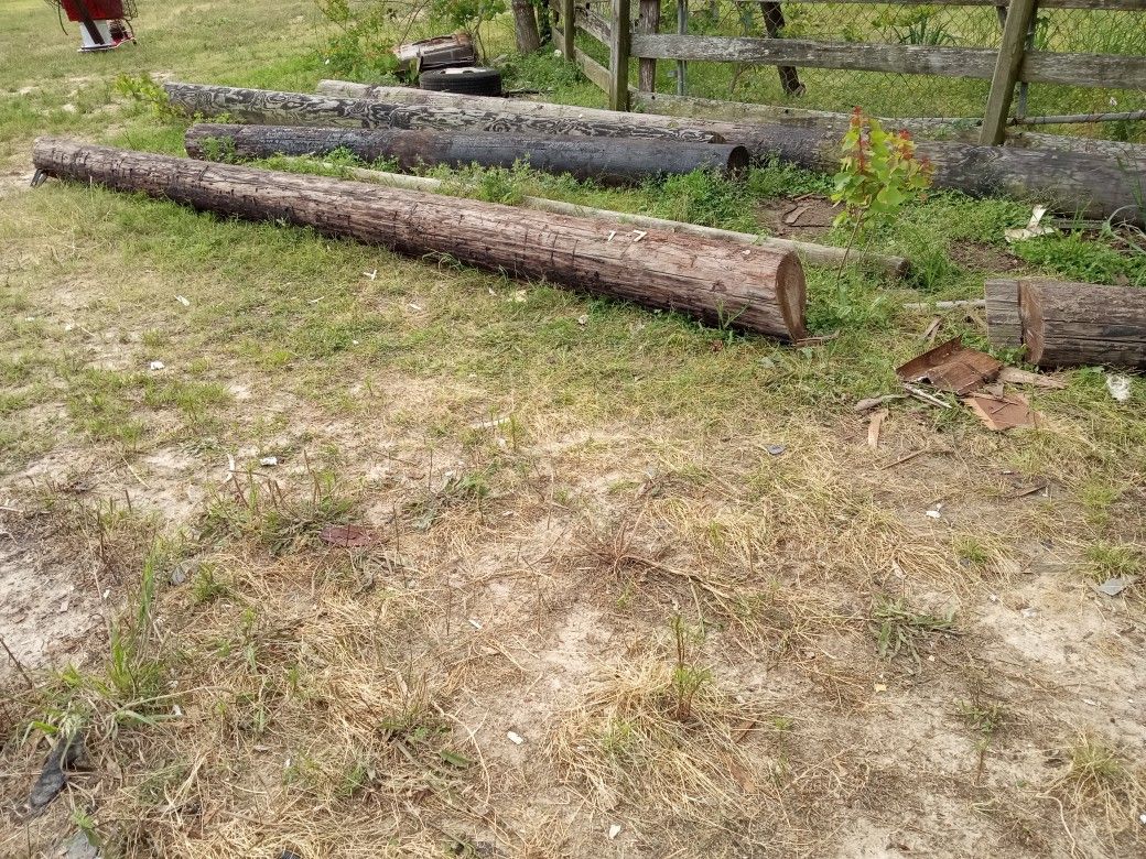Telephone Poles