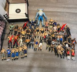 WWE Figures and Wrestling Ring
