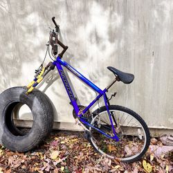 Ol’ Bike ñ Monongahela