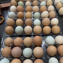Fresh Eggs 