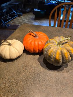 Pumpkins
