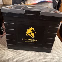 Lion energy 105ah  LiPO4 House Batteries (2)