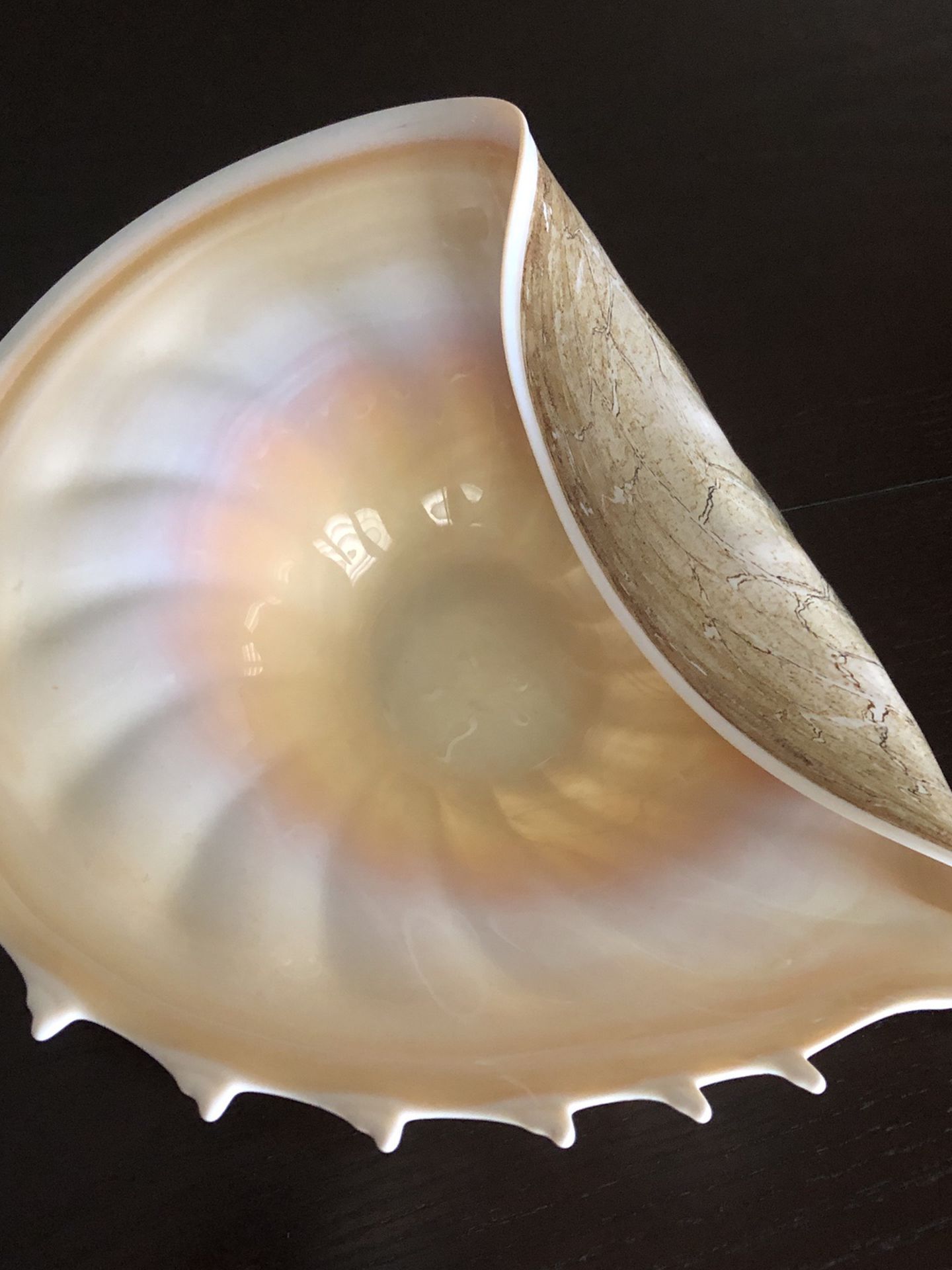 Murano Type Glass Shell Bowl