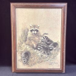 Vintage Raccoon Family Framed Art – Signed Wildlife Print by J. Sharkey Thomas