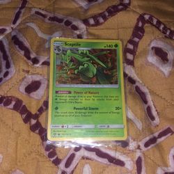 Sceptile Holo Rare
