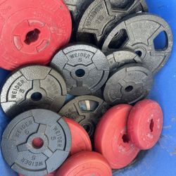 Weights Bench And Bars 