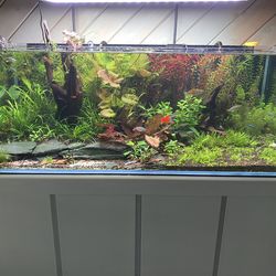 Trimmings for sale