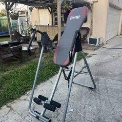 Inversion Table