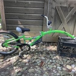 20" Kids Bike Trailer CO-PILOT 