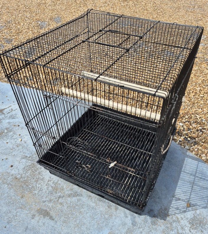 Bird Cage