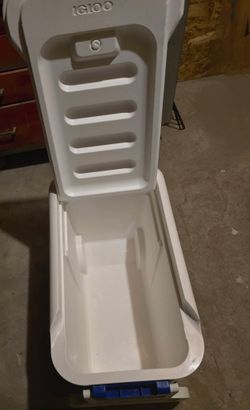 Igloo Cooler