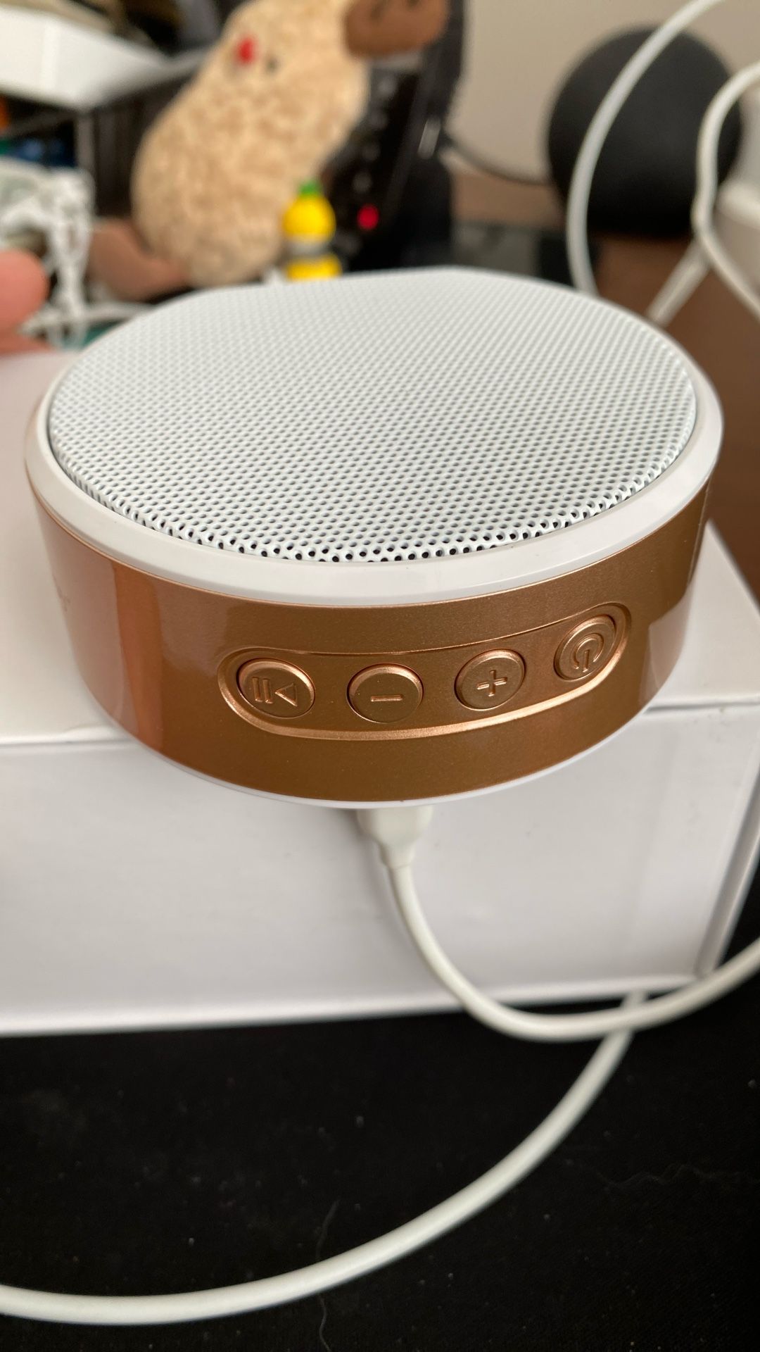 Bluetooth Speaker / FM Radio